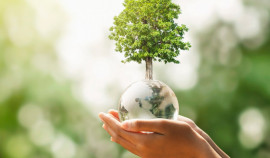 В СОШ № 48 Грозного прошла презентация нацпроекта «Экологическое благополучие»