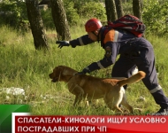 Спасатели-кинологи ищут условно пострадавших при ЧП