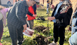 В детском саду «Ручеек» прошла акция «Посади дерево памяти»