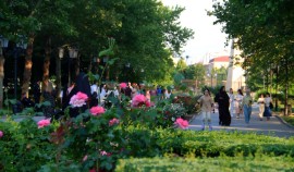 Численность зарегистрированных безработных в ЧР на 1 марта 2026 года составляет 20 000 человек