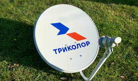 Фильм о сборной России по плаванию представили на ПМЭФ
