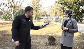 Автору лучшего комментария о Грозном вручили iPhone 12 от Рамзана Кадырова