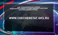 В Чечне зарегистрировано более 30 000 индивидуальных предпринимателей 