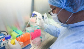 Правительство выделило более 400 млн рублей на изучение генома штамма 