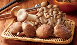 Ученые назвали 3 вида грибов, снижающих уровень холестерина