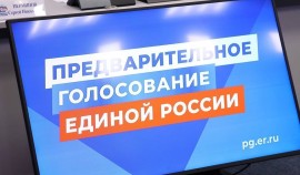 В Чеченской Республике стартовало электронное предварительное голосование «Единой России»