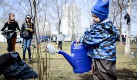 В Грозном проходят масштабные субботники