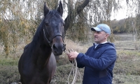В Чечне появится федерация конного спорта