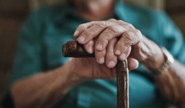 В кабмине рассказали о ключевых приоритетах социальной работы в России