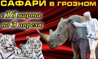 В Грозном проходят гастроли цирка «Сафари»