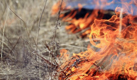 В Чеченской Республике стартовал пожароопасный сезон