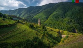 В Чеченской Республике утвердили план Года горных районов и развития МСП: Свыше 330 мероприятий| грозный, чгтрк