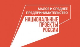 В России количество индивидуальных предпринимателей выросло и достигло 4,2 млн 