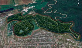 На Петропавловском шоссе планируется благоустройство лесопарка площадью 212 гектаров| грозный, чгтрк