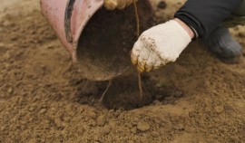 В ЧР продолжается комплексное благоустройство Капустинского водохранилища