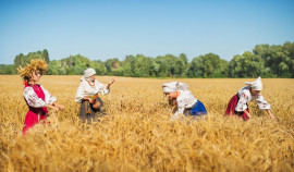 В России будут выдавать гранты сельхозпроизводителям, готовым развивать агротуризм