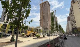 На второй линии нового района Путина в Грозном готовят основания для тротуаров и озеленения