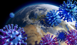 В мире более 18 миллионов человек заразились коронавирусом