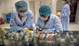 Ученые из Китая создали антитела против штамма-омикрон
