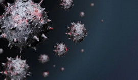 Роспотребнадзор: «дельтакрон» пока не следует называть новым вариантом коронавируса
