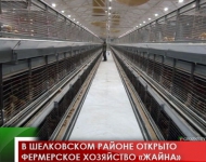 В Шелковском районе открыто фермерское хозяйство «Жайна»