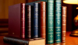 Две трети россиян мечтали повторить книжные приключения — итоги опроса