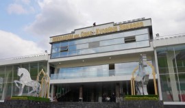 В Грозном состоялись скачки «Большого Грозненского приза Дерби»| грозный, чгтрк