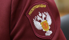 Роспотребнадзор информирует о профилактике кишечных инфекций в праздничные дни| грозный, чгтрк