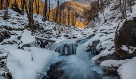 Чеченская Республика — лидер по приросту туристических поездок