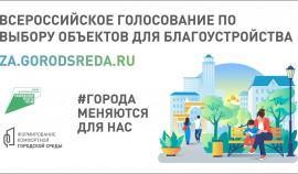 Около 200 добровольцев поддержат Всероссийское онлайн-голосование в ЧР