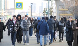 В Чеченской Республике уровень безработицы снизился с 8% до 3,2%| грозный, чгтрк