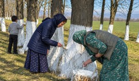 Школьники и волонтёры присоединились к экологическим субботникам в Серноводском районе