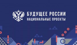 Национальные проекты России до 2030 года: Новые направления и перераспределение