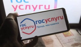 Выросло число абитуриентов, подавших документы через Госуслуги