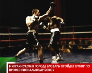 В украинском в городе Бровары пройдет турнир по профессиональному боксу