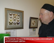 В Грозном продолжается выставка-коллекция «Порхающие цветы»