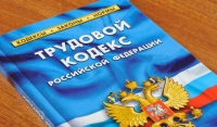 В трудовой кодекс России  внесены поправки о защите  прав работников «на удаленке»