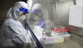 ВОЗ исключила из списка для мониторинга штамм коронавируса, впервые обнаруженный в РФ
