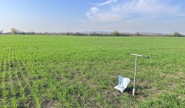 В Чеченской Республике Россельхознадзор добился восстановления 26 га заброшенного пастбища| грозный, чгтрк