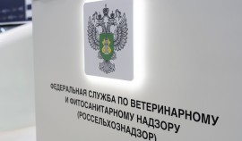 Россельхознадзор усилил ветеринарный контроль на границах Чеченской Республики| грозный, чгтрк
