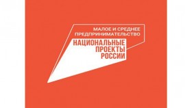 : Объём финансовой поддержки МСП за первое полугодие 2023 года составил более 770 млрд рублей