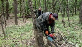 В Грозненском лесничестве провели работы по уборке неликвидной древесины