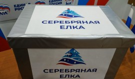 «Единая Россия» запустила благотворительную акцию «Серебряная елка»