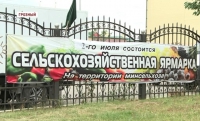 В Грозном прошла сельскохозяйственная ярмарка