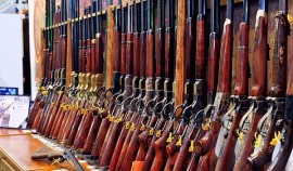 Росгвардия запустит электронную систему по контролю за оборотом оружия