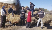 Минобрнауки ЧР объявляет конкурс среди школьников на лучшую учебно-производственную бригаду 