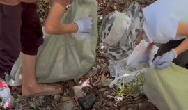 Юные волонтеры очищают чеченские леса от мусора