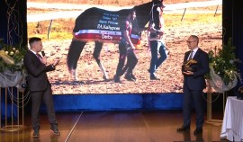 Скакун из ЧР стал обладателем «Приза зрительских симпатий 2020»