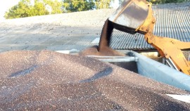 Ячмень объемом 8 тыс. тонн снят с оборота из-за недостоверных лабораторных исследований