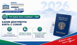 Избирком ЧР призвал избирателей заранее проверить персональные данные